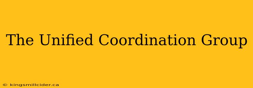 The Unified Coordination Group