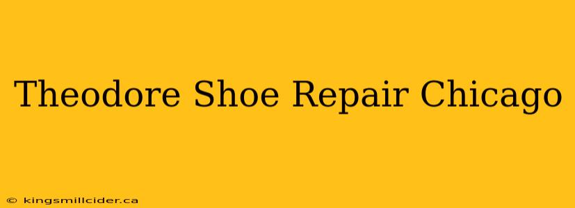 Theodore Shoe Repair Chicago