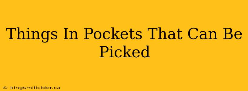 Things In Pockets That Can Be Picked