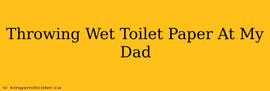 Throwing Wet Toilet Paper At My Dad