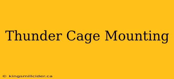 Thunder Cage Mounting