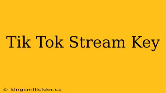 Tik Tok Stream Key