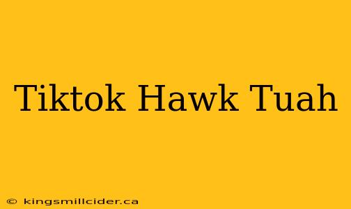 Tiktok Hawk Tuah