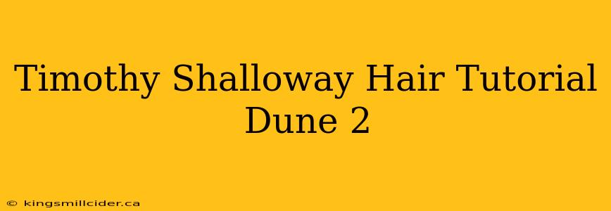 Timothy Shalloway Hair Tutorial Dune 2