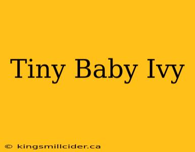 Tiny Baby Ivy