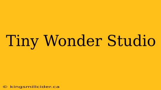 Tiny Wonder Studio