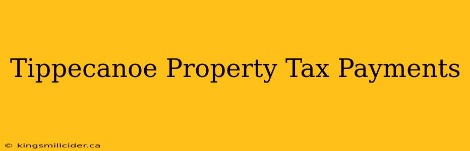 Tippecanoe Property Tax Payments