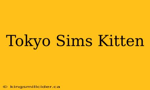 Tokyo Sims Kitten