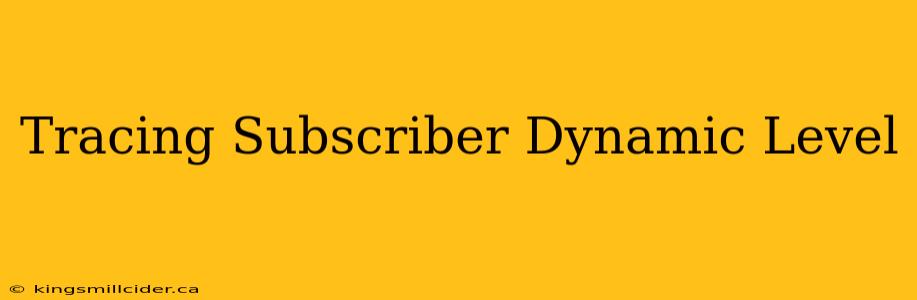 Tracing Subscriber Dynamic Level