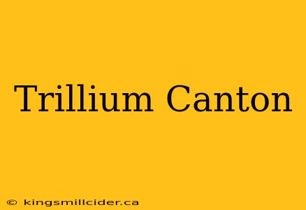 Trillium Canton