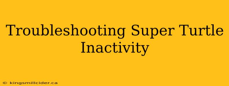 Troubleshooting Super Turtle Inactivity