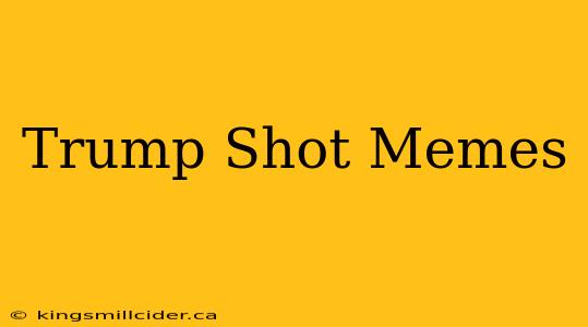 Trump Shot Memes