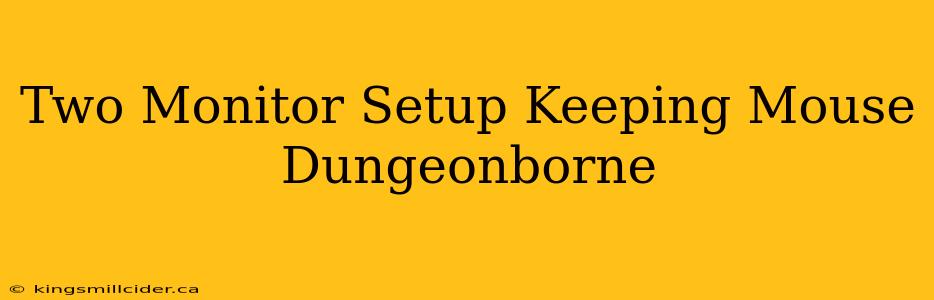 Two Monitor Setup Keeping Mouse Dungeonborne