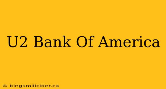 U2 Bank Of America