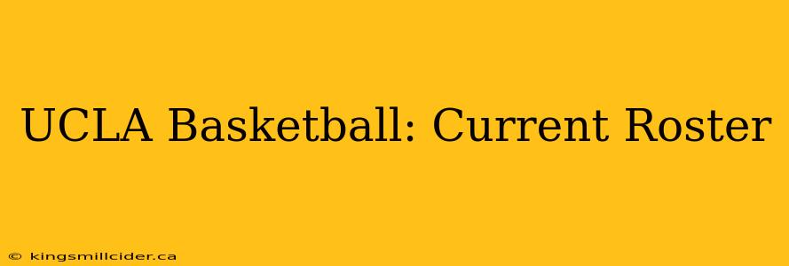 UCLA Basketball: Current Roster