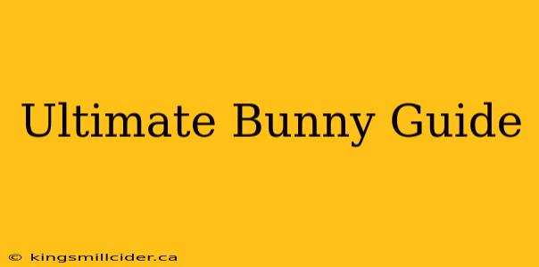 Ultimate Bunny Guide