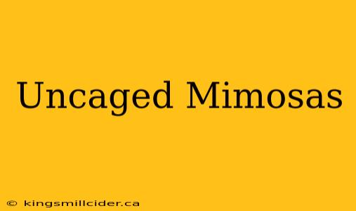 Uncaged Mimosas