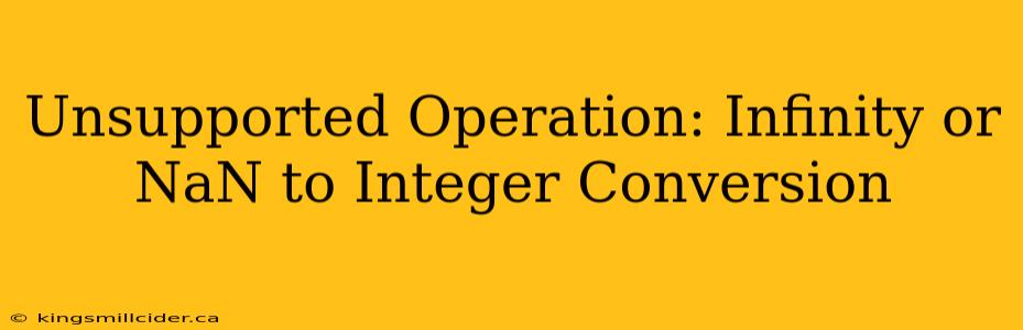 Unsupported Operation: Infinity or NaN to Integer Conversion