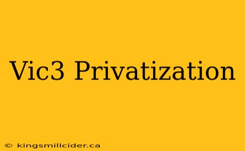 Vic3 Privatization