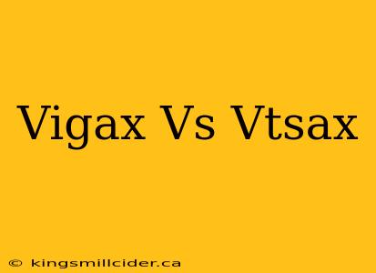 Vigax Vs Vtsax