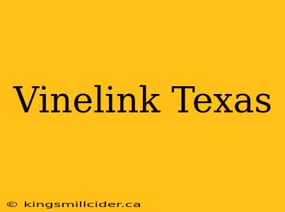 Vinelink Texas