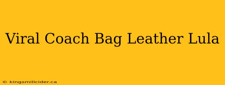 Viral Coach Bag Leather Lula