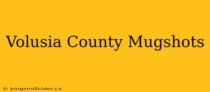 Volusia County Mugshots