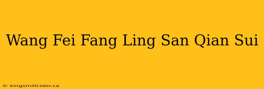 Wang Fei Fang Ling San Qian Sui