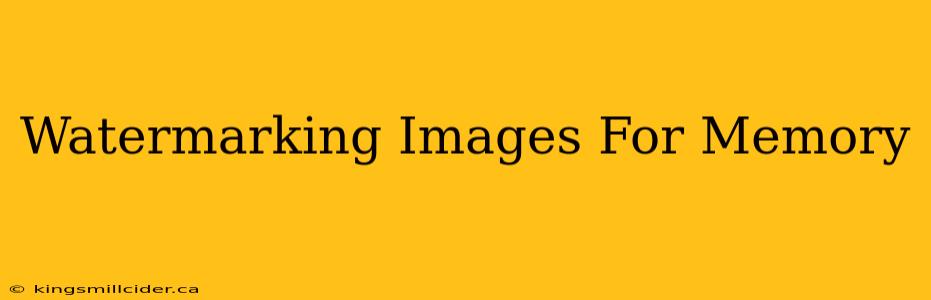 Watermarking Images For Memory