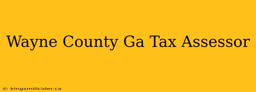 Wayne County Ga Tax Assessor