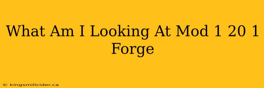 What Am I Looking At Mod 1 20 1 Forge