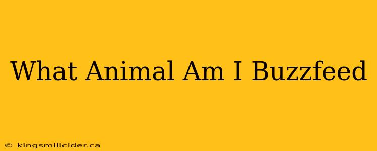 What Animal Am I Buzzfeed