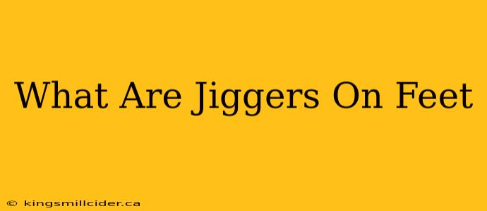 What Are Jiggers On Feet