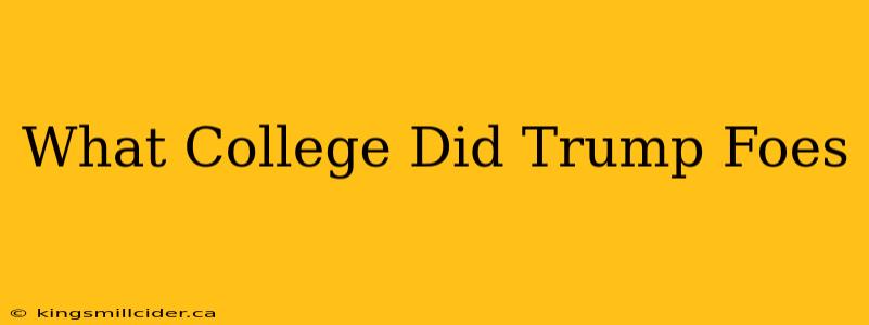 What College Did Trump Foes