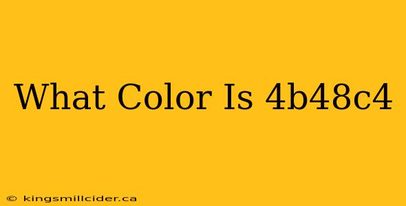 What Color Is 4b48c4