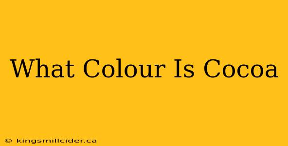 What Colour Is Cocoa