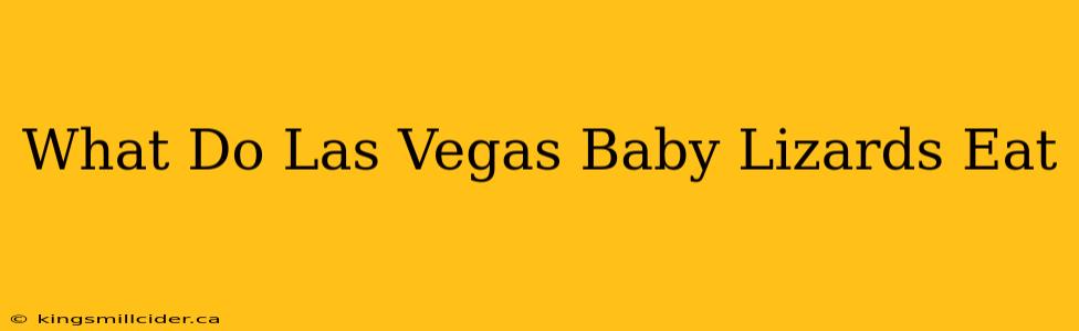 What Do Las Vegas Baby Lizards Eat