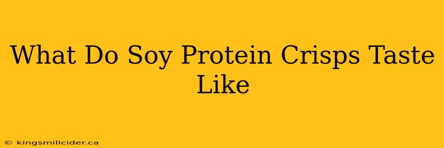 What Do Soy Protein Crisps Taste Like