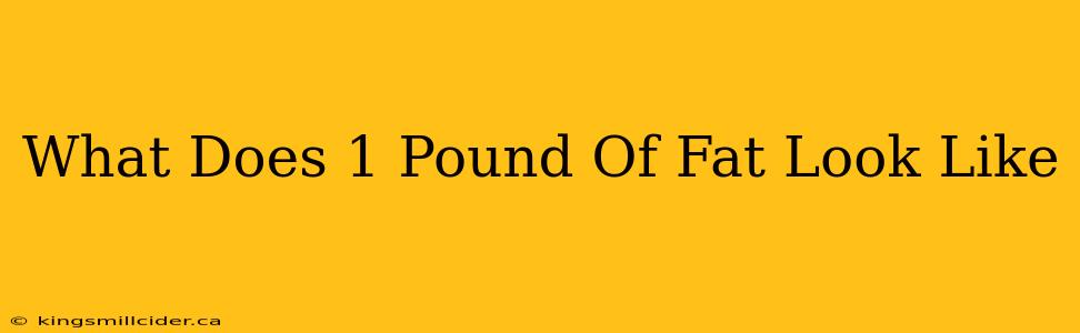 What Does 1 Pound Of Fat Look Like