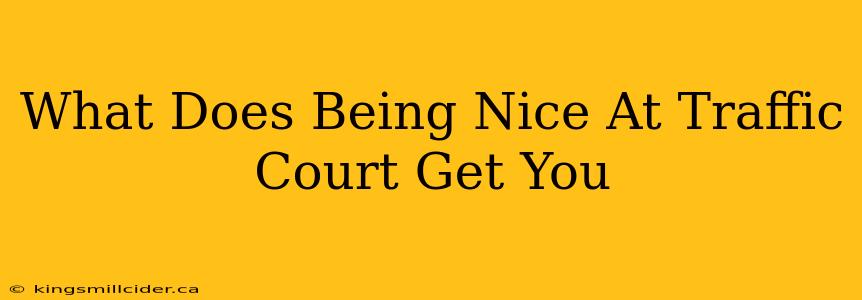 What Does Being Nice At Traffic Court Get You