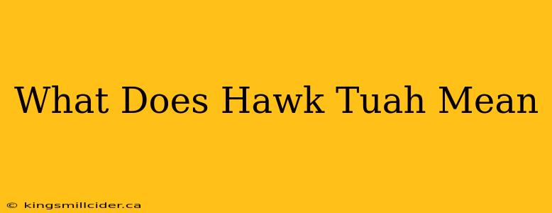 What Does Hawk Tuah Mean