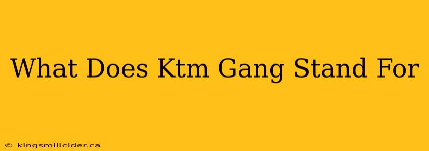 What Does Ktm Gang Stand For