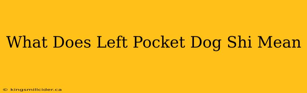 What Does Left Pocket Dog Shi Mean