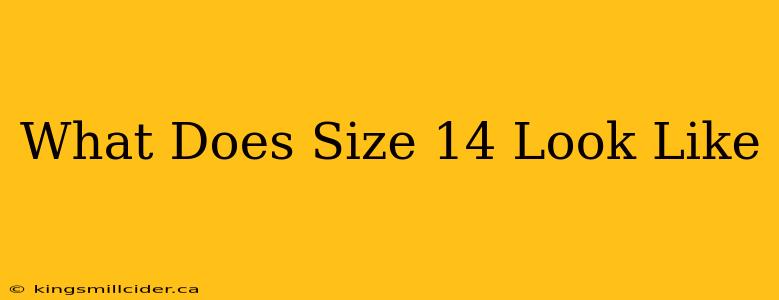 What Does Size 14 Look Like