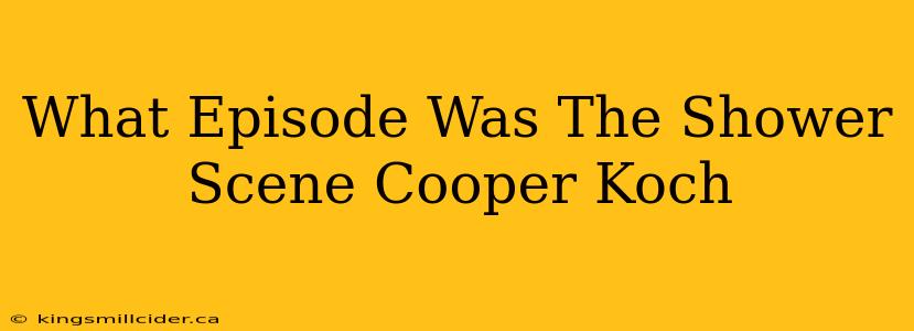 What Episode Was The Shower Scene Cooper Koch