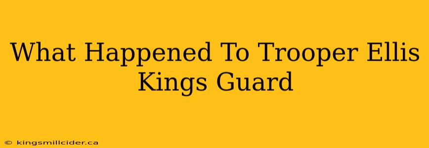 What Happened To Trooper Ellis Kings Guard