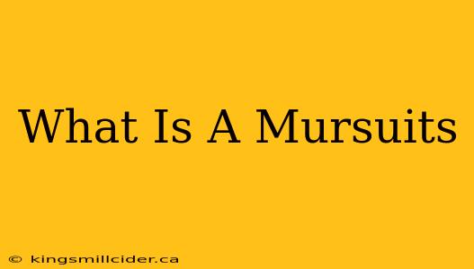 What Is A Mursuits