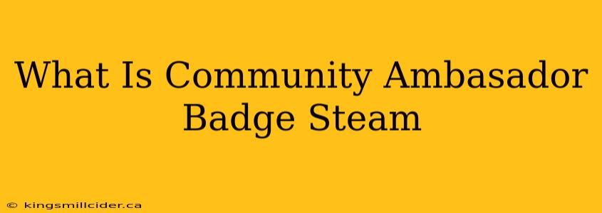 What Is Community Ambasador Badge Steam