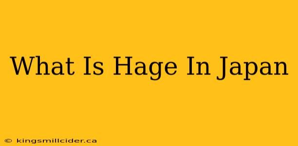 What Is Hage In Japan