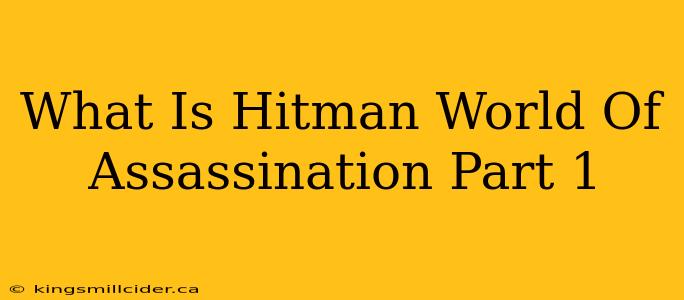 What Is Hitman World Of Assassination Part 1